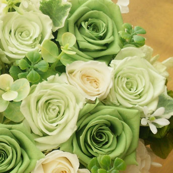 グリーンのプリザーブドフラワー A0001 Pf 東京へ贈るスタンド花ならフラワーショップリラ