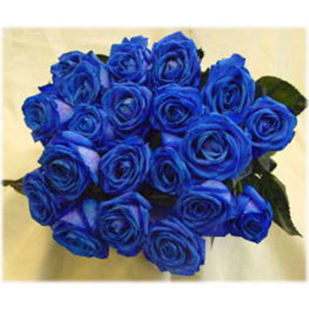 青バラ バラのフラワーギフト 年齢の数にあわせた青バラの花束